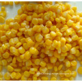 340g Canned Golden Sweet Kernel Corn